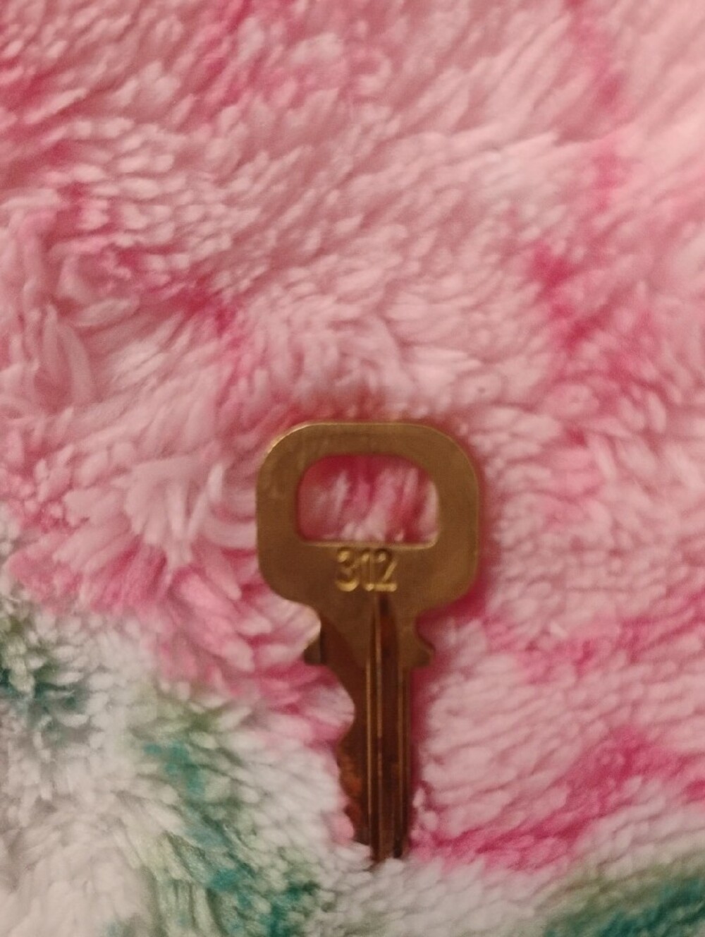 Louis Vuitton Gold Tone Padlock with Key - Branded LV Accent #312 - Picture 5 of 5